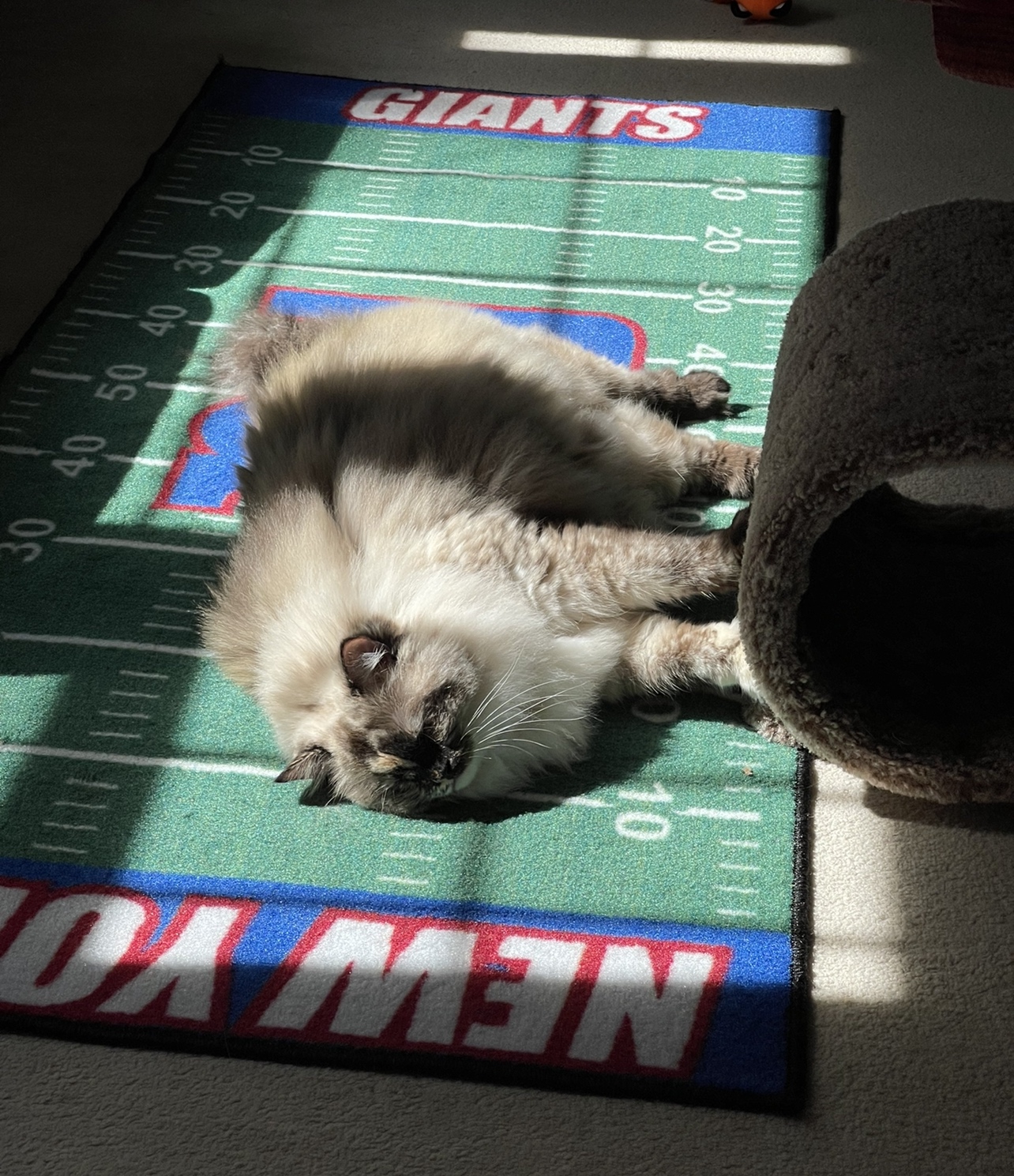 FANMATS NFL Nylon Face Football Field Runner customer photo 2