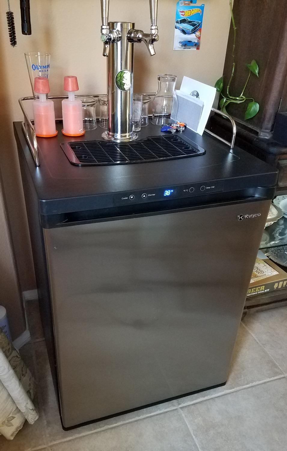 Kegco K309SS-2 24