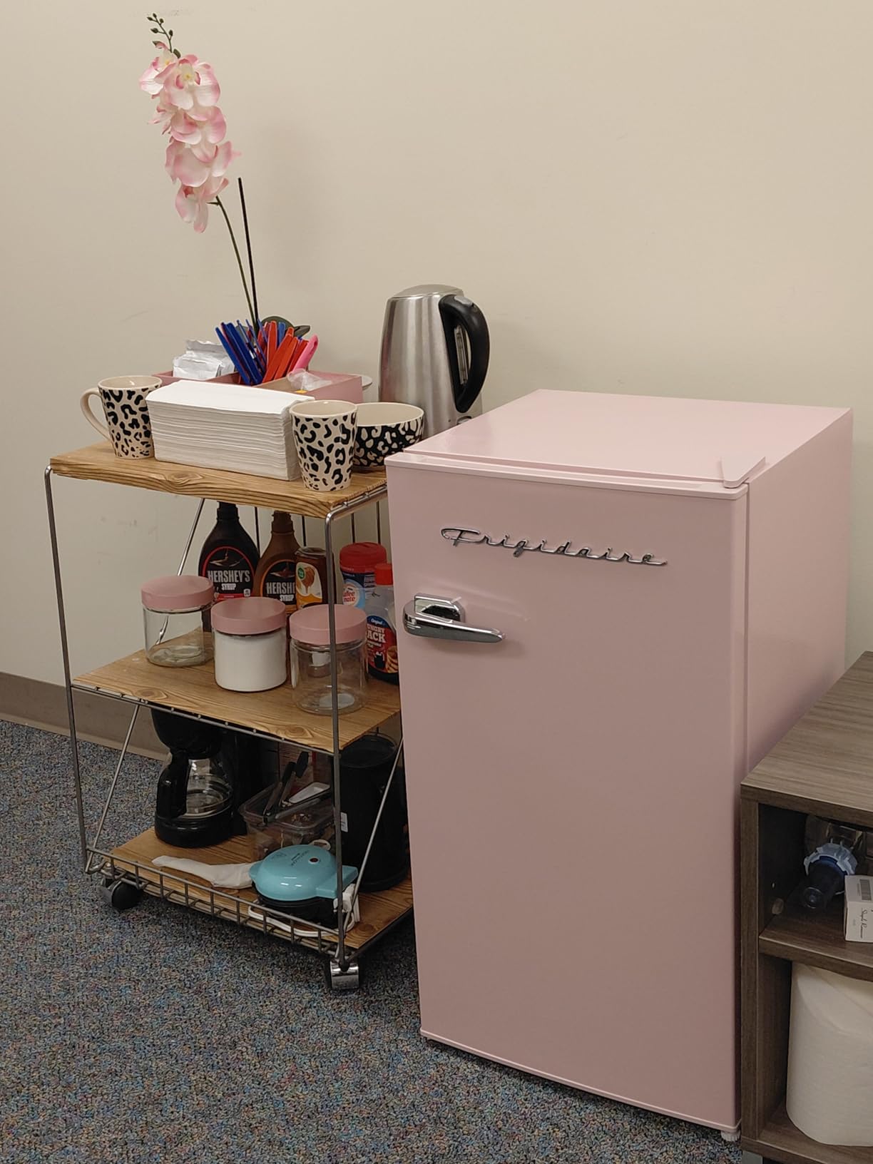 Frigidaire Retro Compact Fridge with Chiller, 3.2 cu ft Countertop Fridge with Built-In Bottle Opener, Compact Refrigerator for Office, Bedroom, Dorm Room or Cabin (Coral) customer photo 1