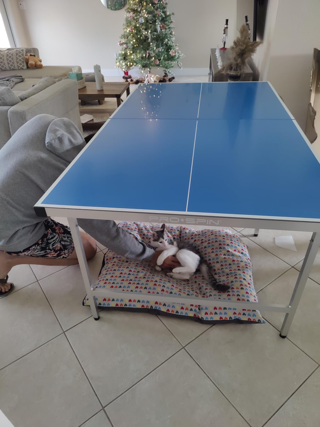 PRO-SPIN Compact Ping Pong Table - 72