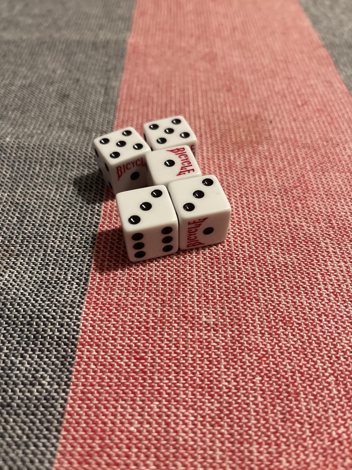 Bicycle 5 Count Dice customer photo 1