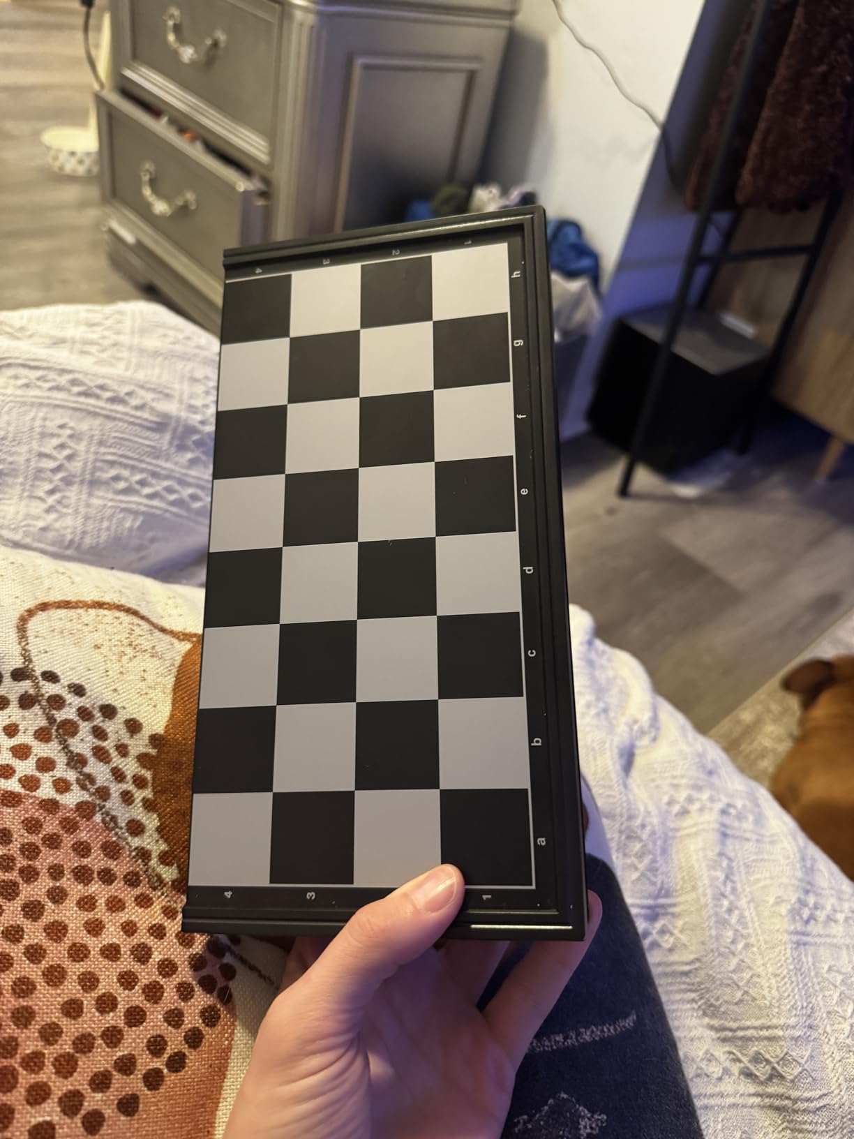 Magnetic Travel Chess Set 9.84 Inches with Folding Chess Board Educational Toys for Kids and Adults, 2 Players customer photo 1