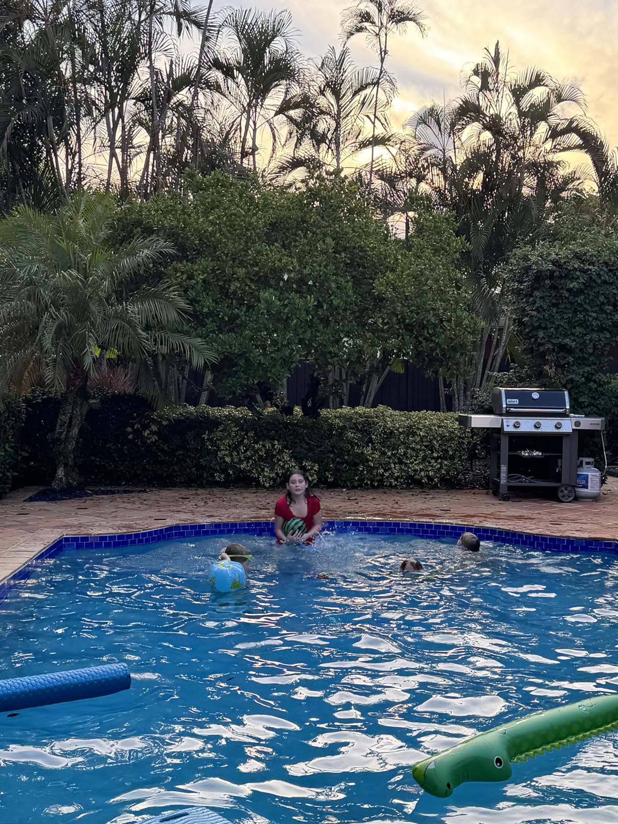Watermelon Ball Lit - Glow in The Dark Pool Toy for Kids Ages 8-12, Teens, Adults - 9 Inch Swimming Pool Game for Family Fun customer photo 2