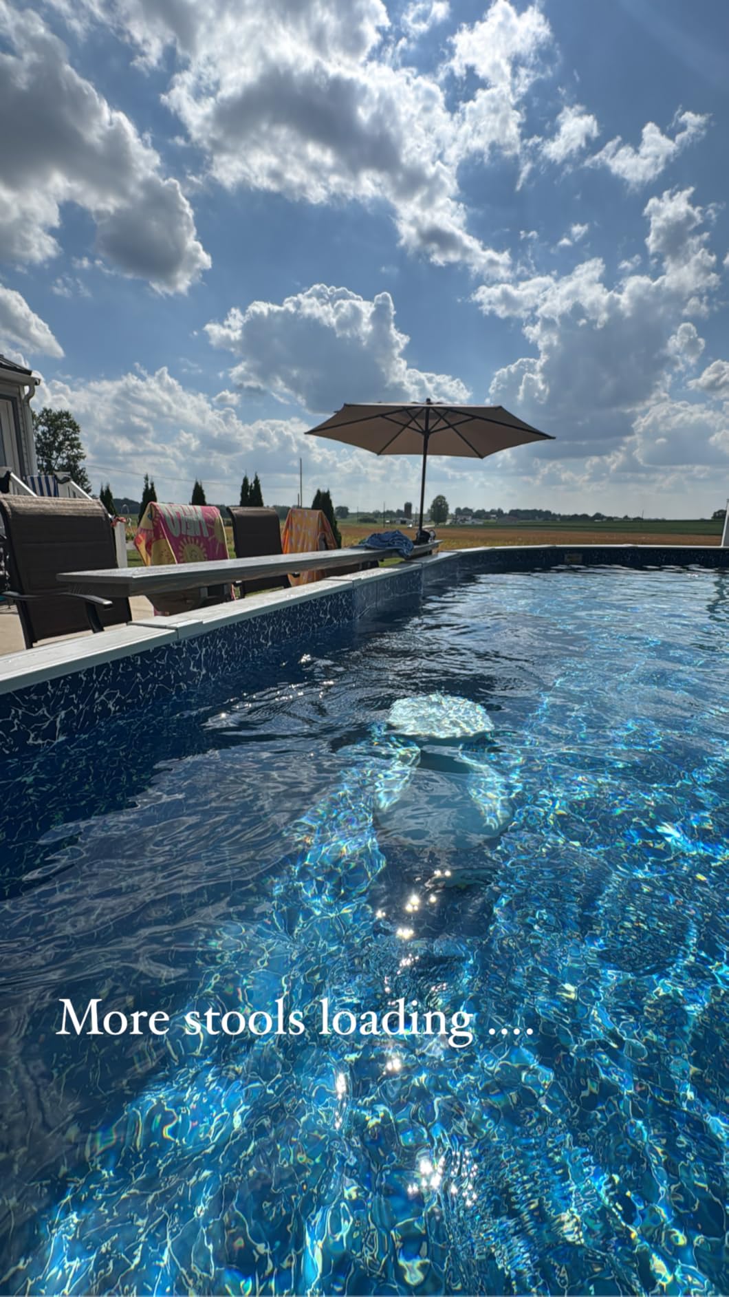 DUNNRITE Products Made in USA Submersible Swim Up Pool Stools for Underwater Use, Bar Stool for Inside Pool and Patio Deck Seating, 24 Inch customer photo 2