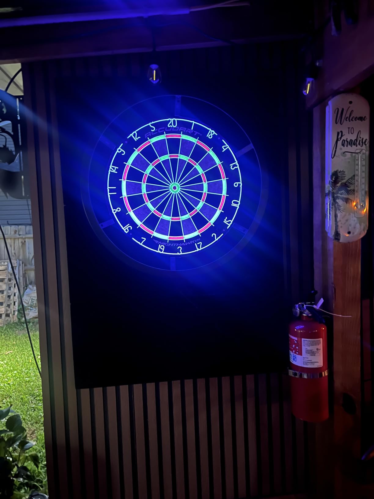 Accudart Nighthawk 2-in-1 LED & Blacklight Bristle Dartboard Surround Set - Official 18