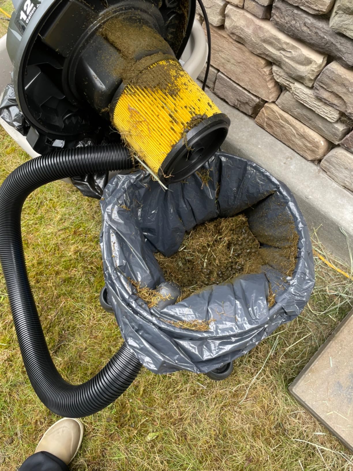 Vacmaster VBVB611PF 1101 6 Gal 5 Peak HP Wet/Dry Vac w. Detachable Blower customer photo 1
