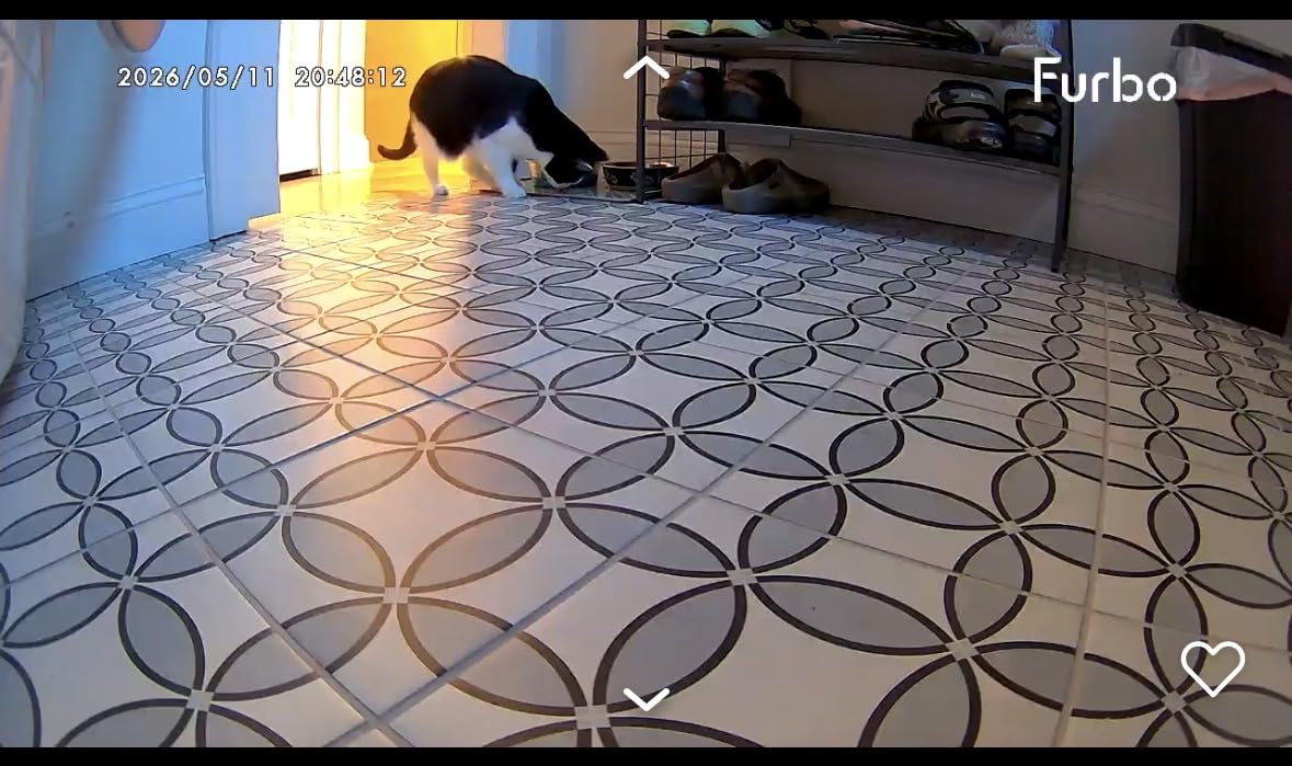 Furbo 360° Dog Camera [Core Features, No Ongoing Cost] customer photo 1