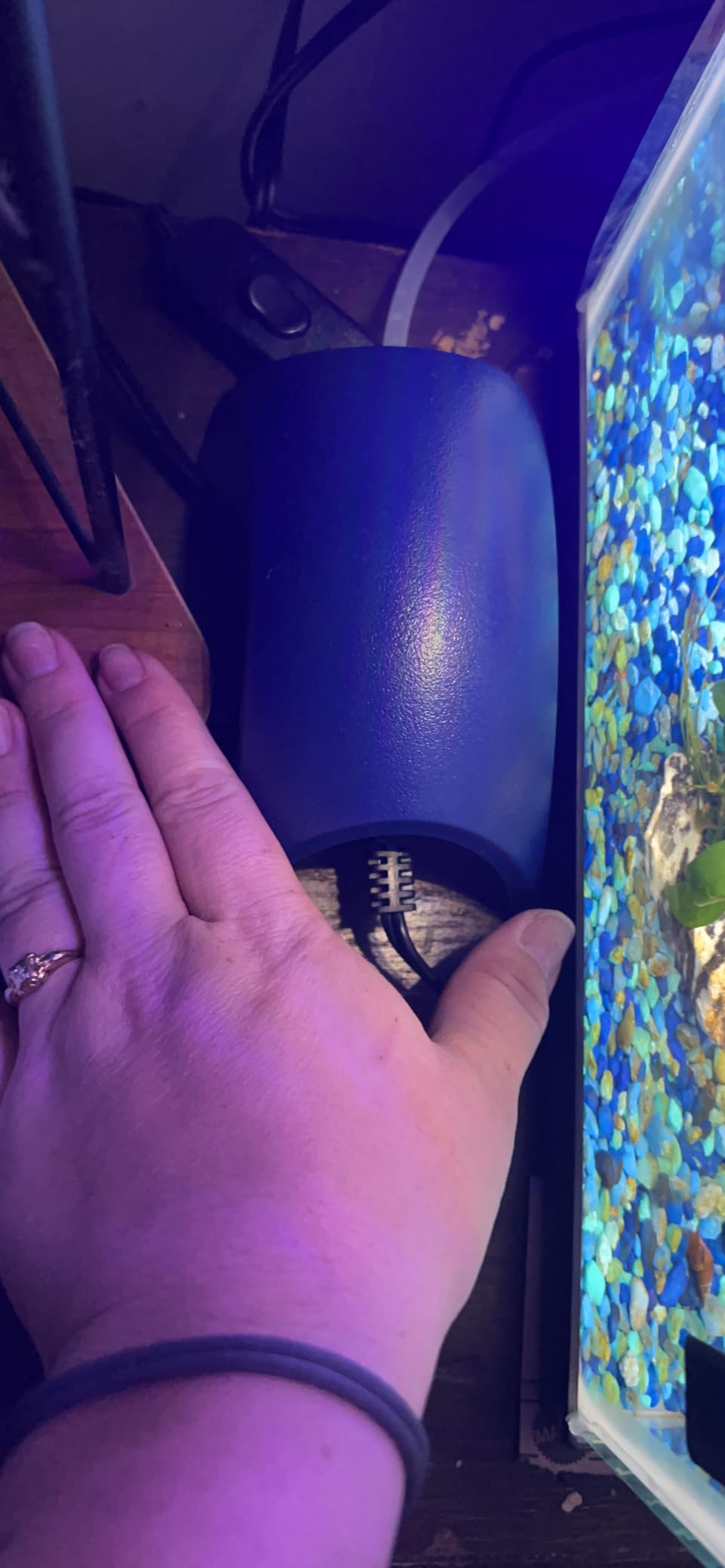 Tetra Whisper Air Pump for Up to 10 Gallon Aquariums, Non-UL customer photo 2
