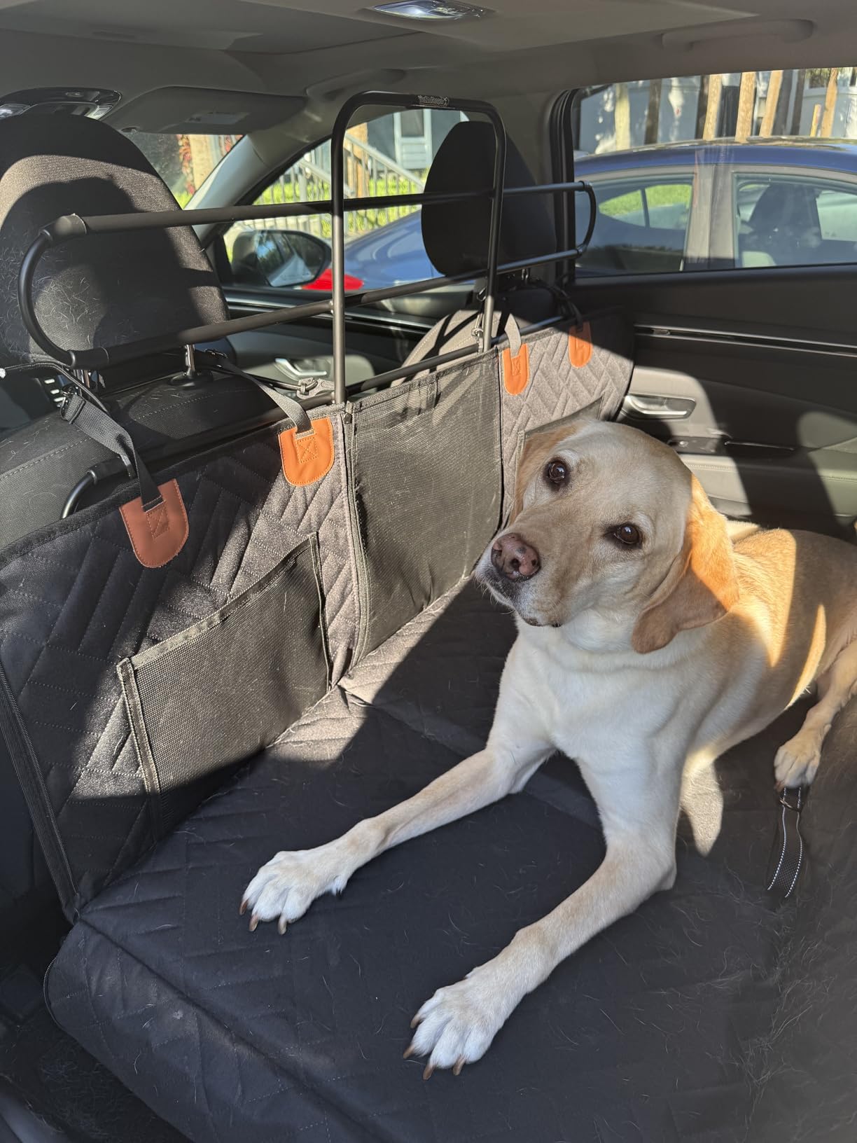The ZooKeeper Original Car, SUV, Truck Dog Barrier: Adjustable Universal for All Vehicles - Moves with Your Vehicle Seats. Tilt. Slide. Recline. Easy Install - Strong Metal Tubing Gate Pet Divider customer photo 2