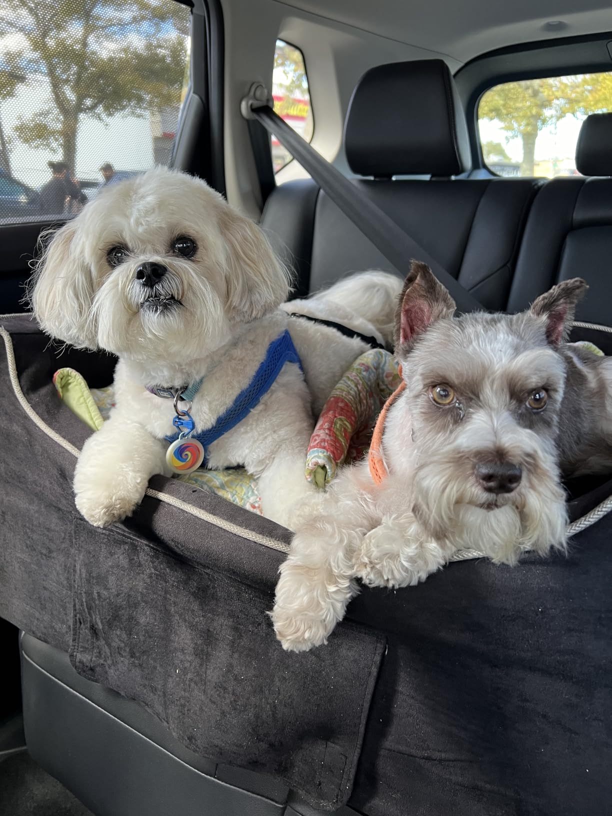 Medium Snoozer Luxury Lookout Car Seat, Buckskin and Java | Dog booster car seat, Elevated view helps alleviate travel sickness & fear, Removable washable cover, USA family company customer photo 1