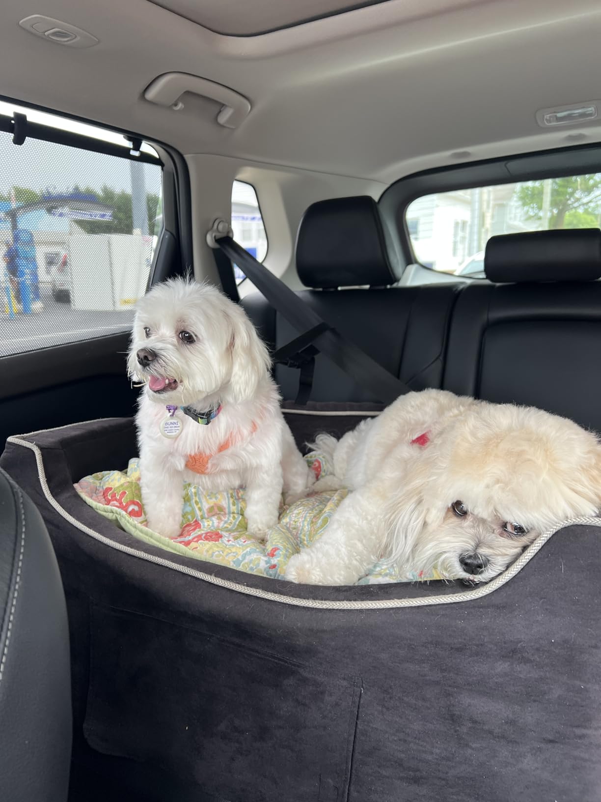Medium Snoozer Luxury Lookout Car Seat, Buckskin and Java | Dog booster car seat, Elevated view helps alleviate travel sickness & fear, Removable washable cover, USA family company customer photo 2
