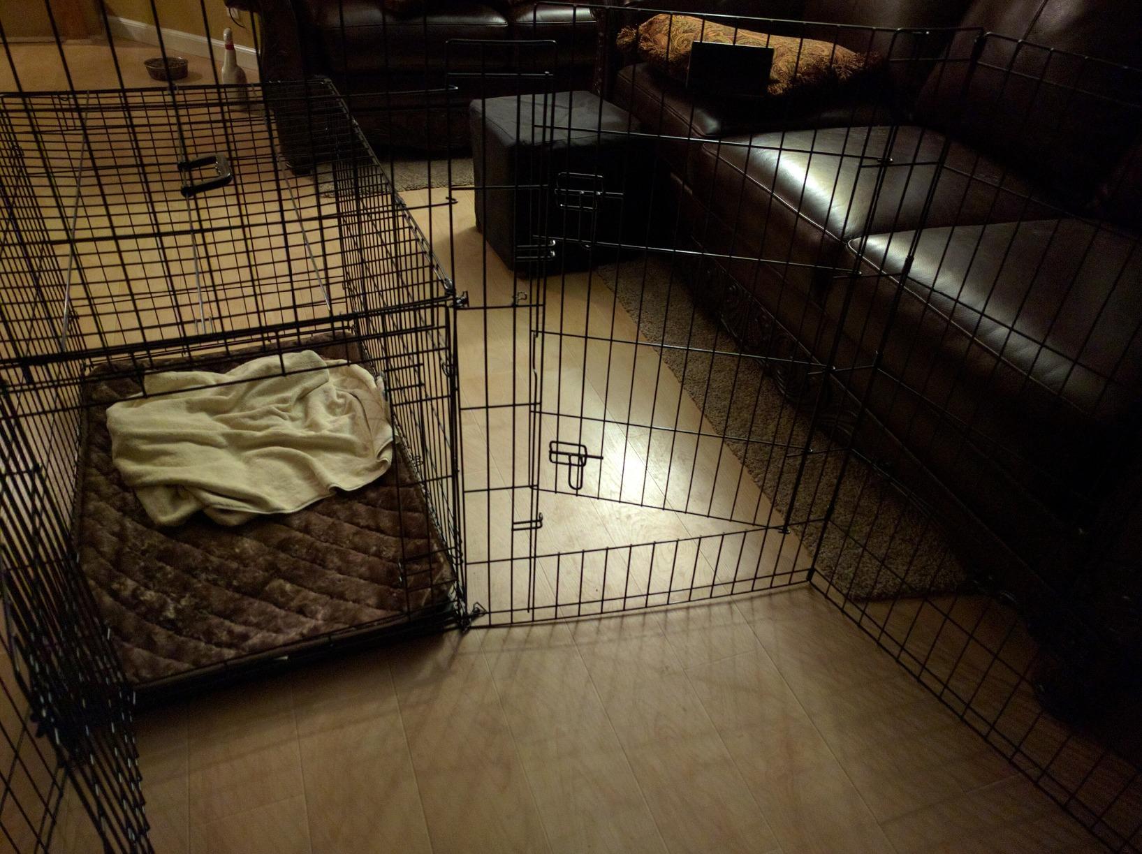 MidWest Homes for Pets 48-Inch Exercise Pen, for Indoor and Outdoor Use, 16 Sq Feet of Play, Single Door Folding Dog Pen customer photo 1