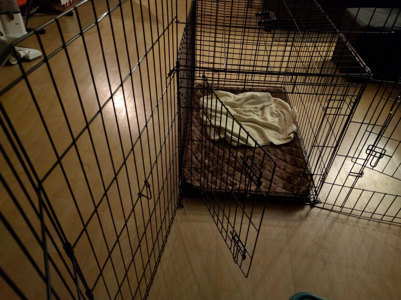 MidWest Homes for Pets 48-Inch Exercise Pen, for Indoor and Outdoor Use, 16 Sq Feet of Play, Single Door Folding Dog Pen customer photo 2