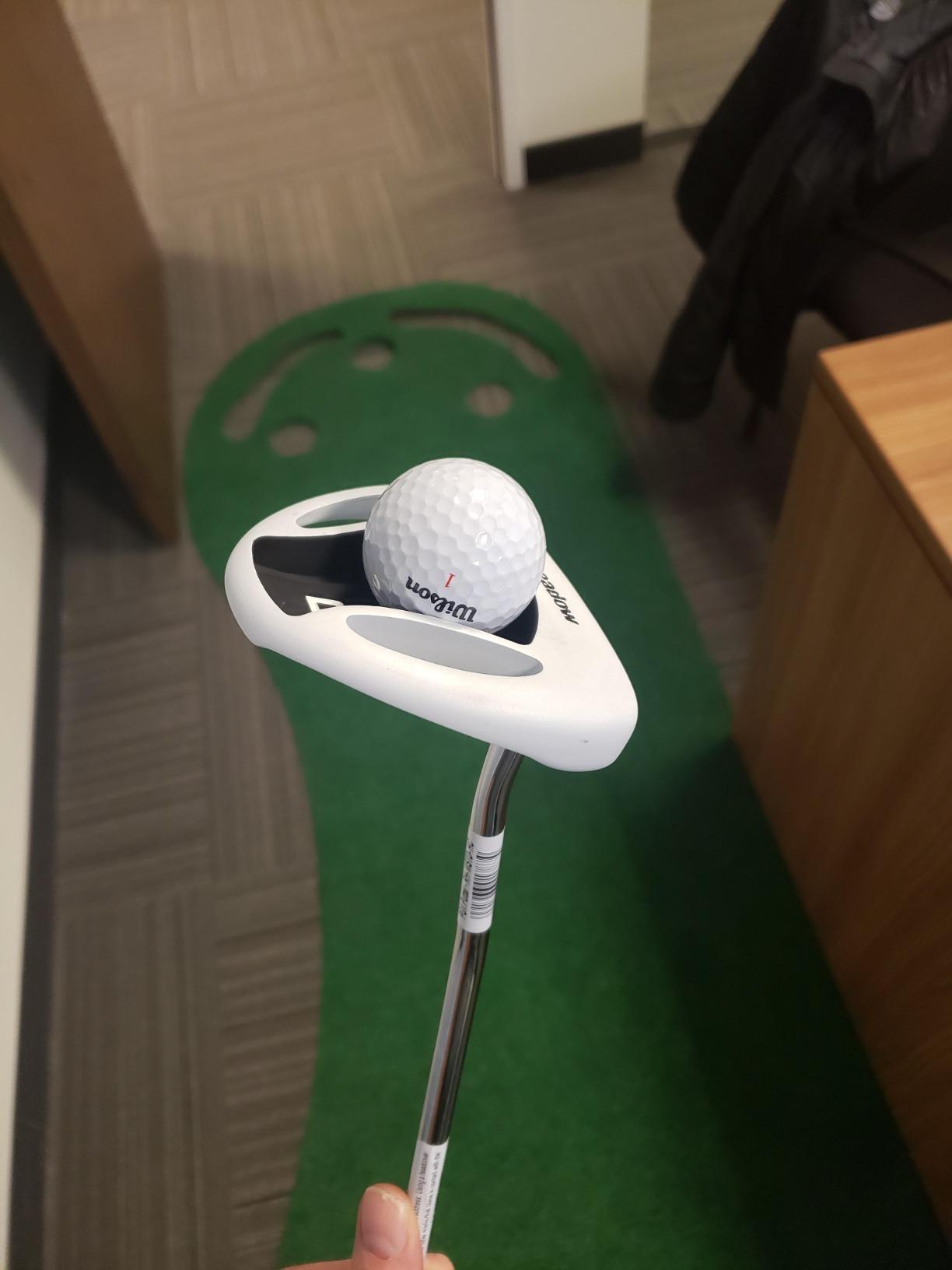 Pinemeadow Golf Men's PGX Putter customer photo 2