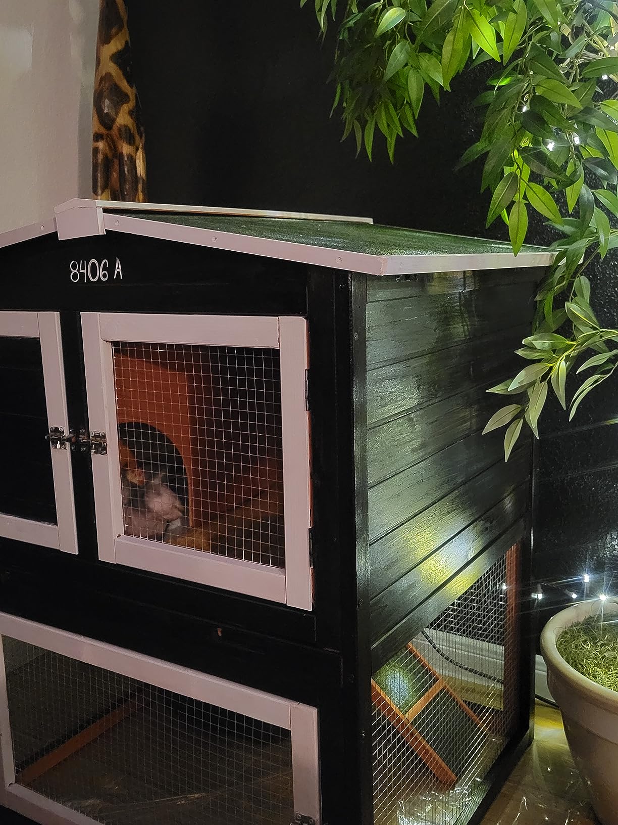 TRIXIE natura Outdoor Rabbit Hutch with Run - Small 2-Story Rabbit Cage with Non-Slip Ramp customer photo 2