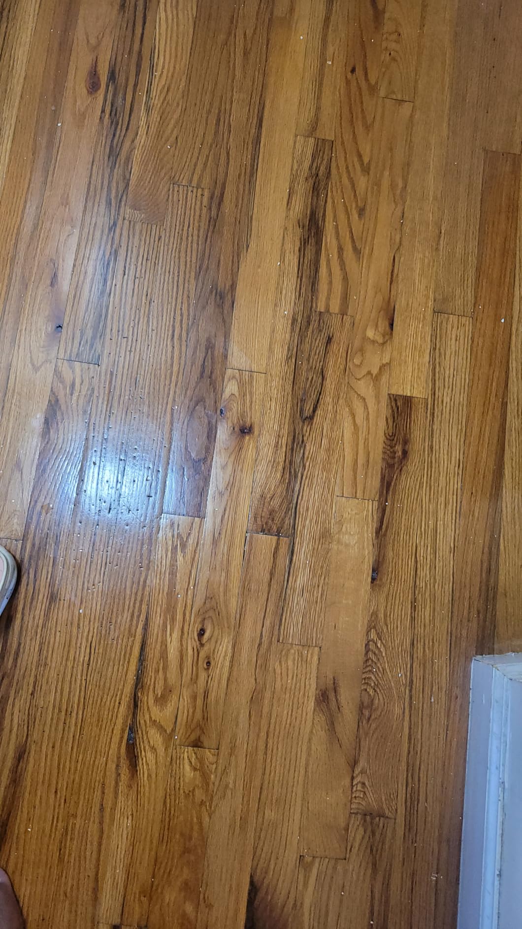 Quick Shine Hardwood Floor Luster 27 oz, Natural Looking Shine | Plant Derived Carnauba Polish, Renew & Protect, Streak & Haze Free, Non-slip, pH Neutral, No PFAS, EPA Safer Choice customer photo 1