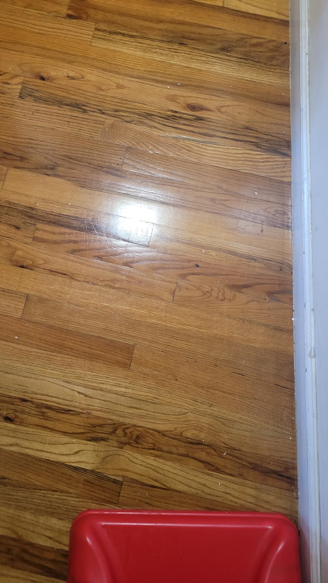 Quick Shine Hardwood Floor Luster 27 oz, Natural Looking Shine | Plant Derived Carnauba Polish, Renew & Protect, Streak & Haze Free, Non-slip, pH Neutral, No PFAS, EPA Safer Choice customer photo 2