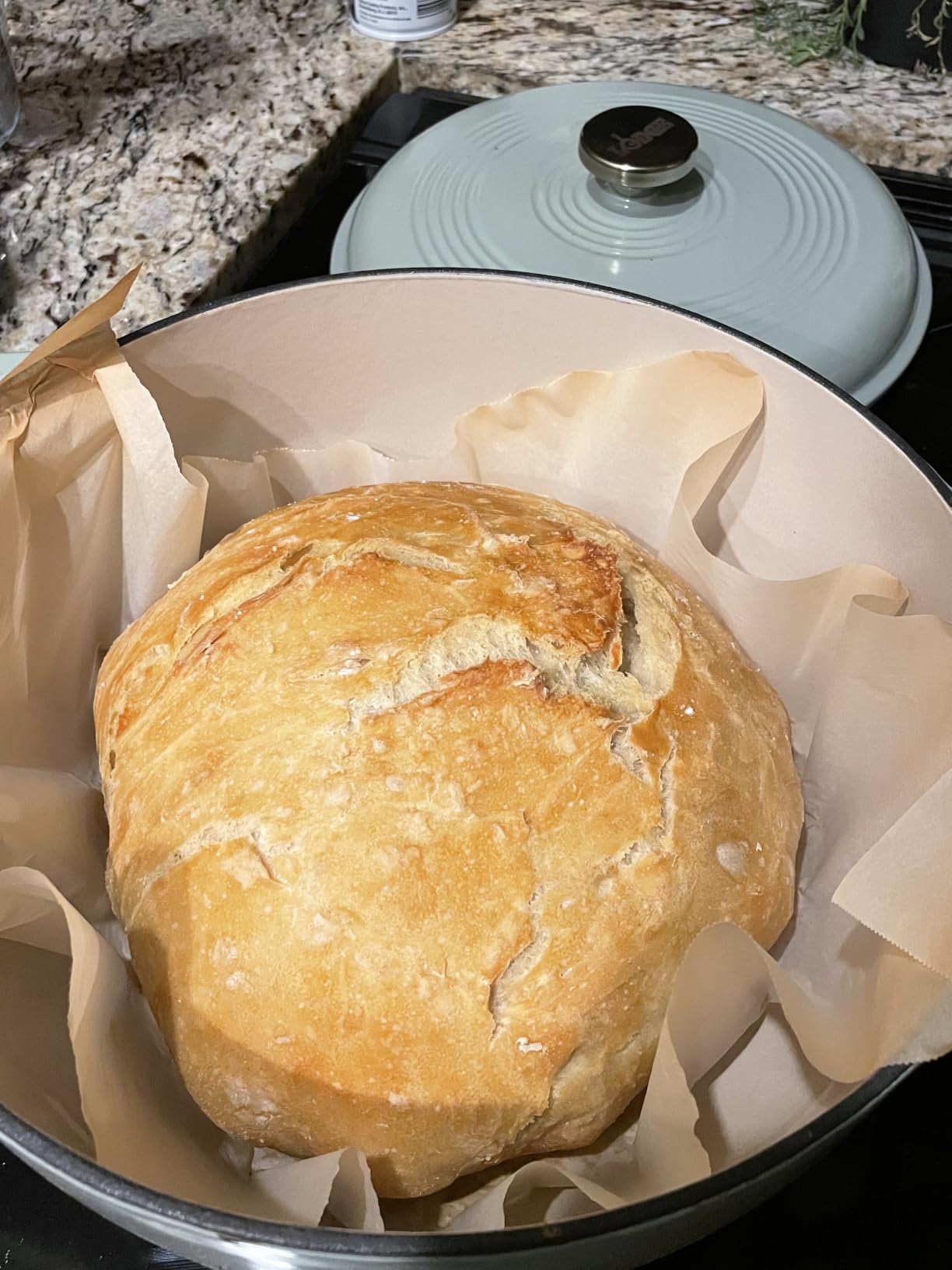 Lodge Essential Enamel Cast Iron Dutch Oven 6 Quarts - Perfect for Bread Baking, Braising, Marinating & Slow Cooking customer photo 1