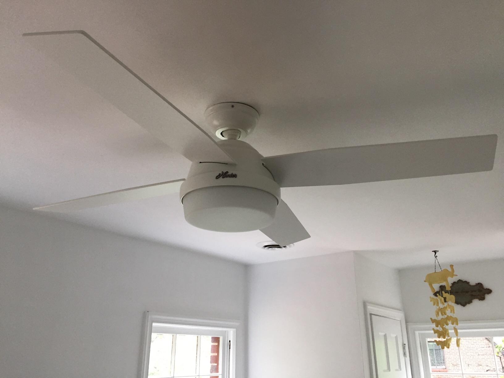 Hunter Dempsey Outdoor or Indoor Ceiling Fan, 52 inch, Matte Black, with LED Light and Remote Control, Standard Mount, 4 Blades, For Living Room, Patio, Porch, Garage, 59251 customer photo 2