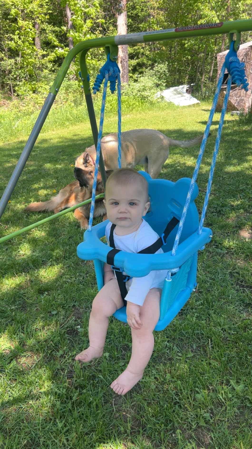 Sportspower My 1st Toddler Swing - Heavy-Duty Baby Indoor/Outdoor Swing Set with Safety Harness, Blue customer photo 1