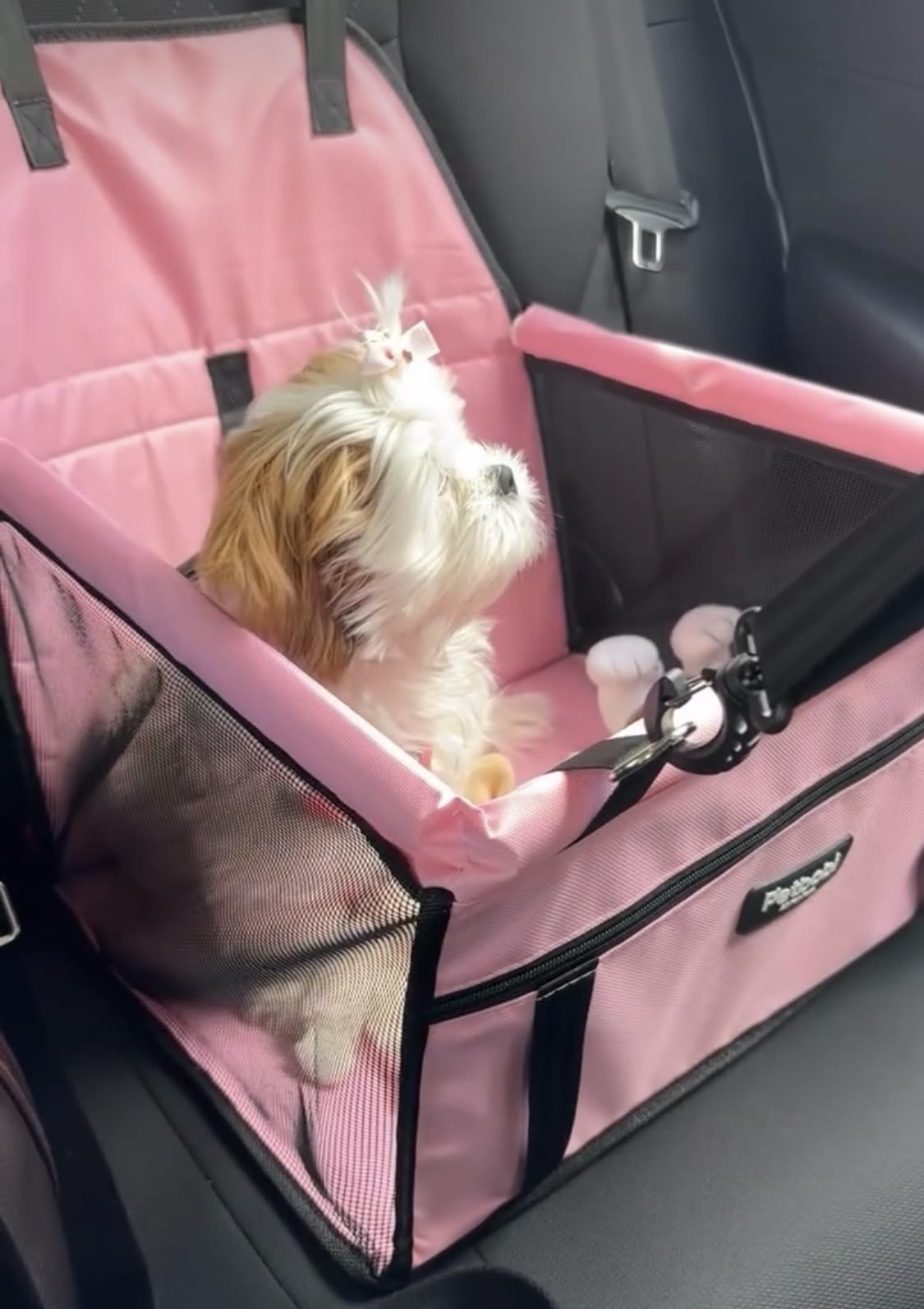 Petbobi Pet Reinforce Car Booster Seat for Dog Cat Portable and Breathable Bag with Seat Belt Dog Carrier Safety Stable for Travel Look Out,with Clip on Leash with PVC Tube, Pink customer photo 2