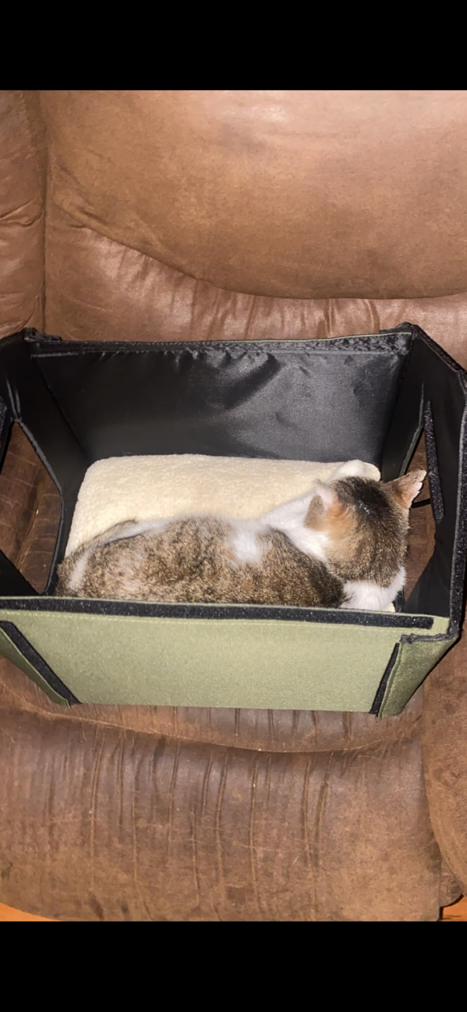 K&H Pet Products Heated Outdoor Cat House for Outside Pets in Winter, Weatherproof Outdoor House for Ferals, Insulated Kitty Shelter, 2 Doors, Waterproof Heated Cat Bed, Safety Listed - Olive/Olive customer photo 2