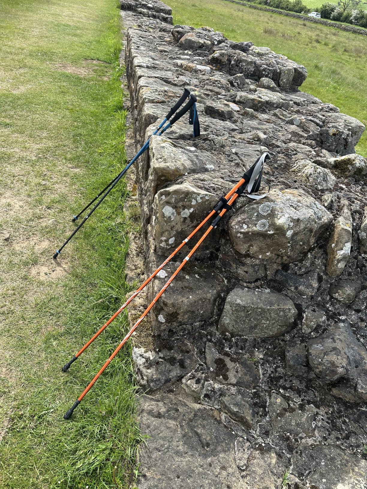 Covacure Trekking Poles Collapsible Hiking Poles - 2 Pcs Aluminum Alloy 7075 Trekking Sticks with Quick Lock System, Telescopic, Collapsible for Hiking, Camping customer photo 1