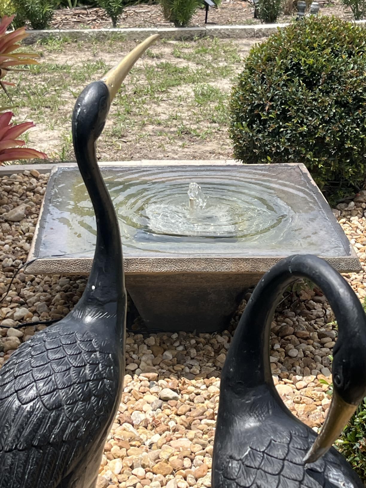 VIVOSUN 800GPH Submersible Pump(3000L/H, 50W), Ultra Quiet Water Fountain Pump with 10ft. High Lift with 6.5ft. Power Cord, 3 Nozzles for Pond, Aquarium, Statuary, Hydroponics Green customer photo 1