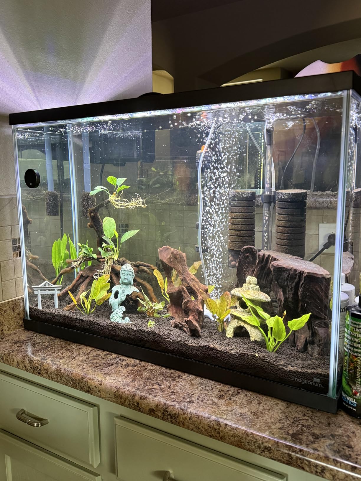 hygger Aquarium Double Sponge Filter for Fresh Water and Salt-Water Fish Tank (M) customer photo 2