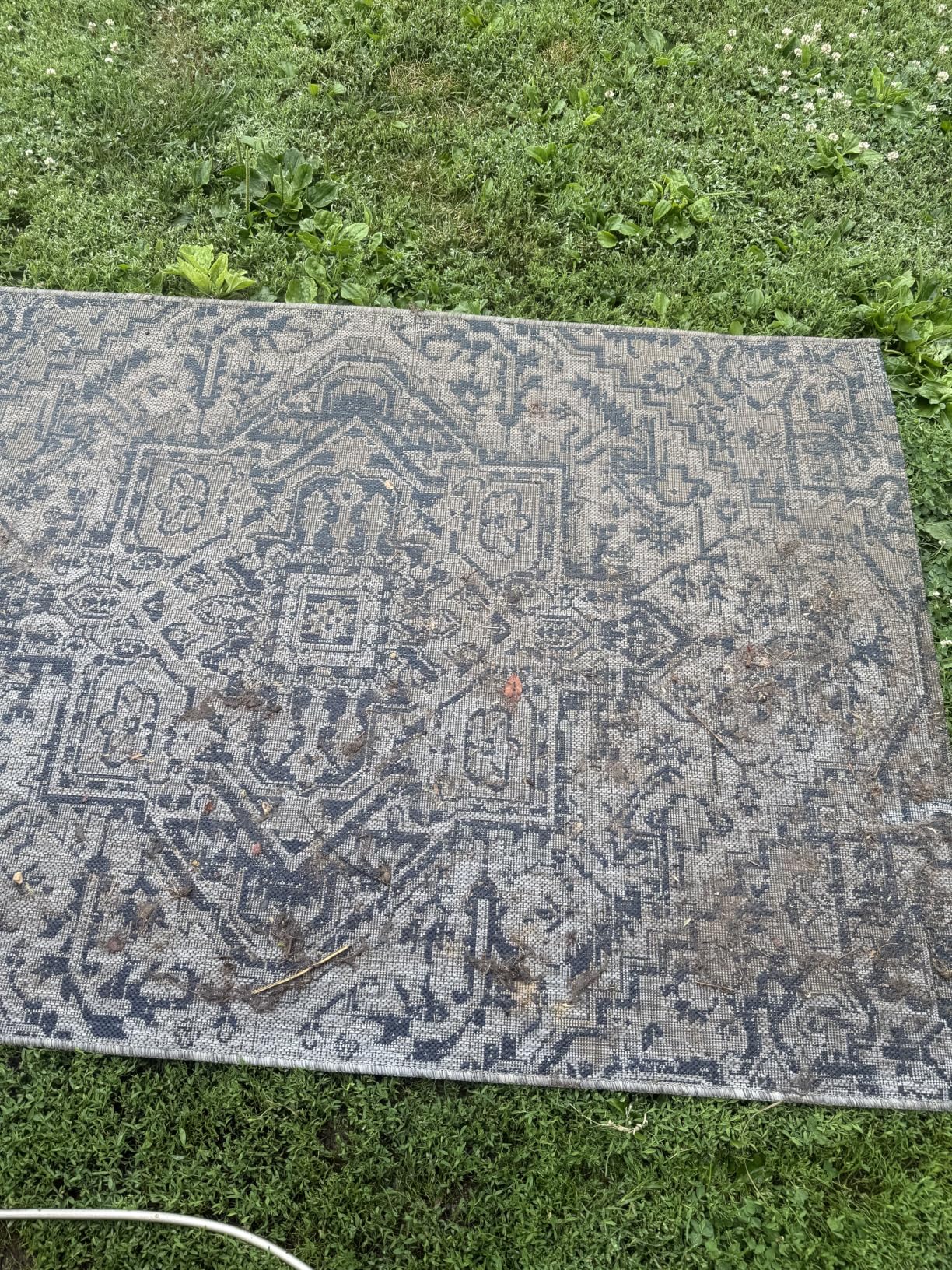 JONATHAN Y Boho Medallion Indoor Outdoor Area Rug 4X6 Navy/Gray, Estrella Textured Weave for Backyard, Patio, Porch, Easy-Cleaning, High Traffic, Pet-Friendly, Non-Shedding (SMB105B-4) customer photo 1