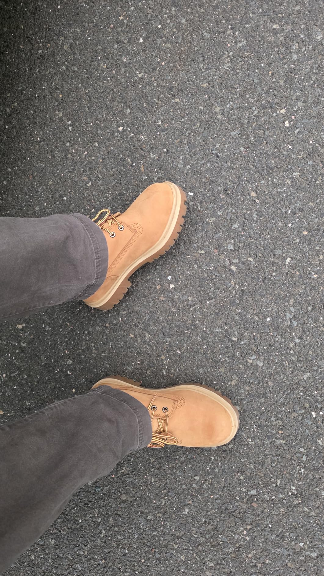 Timberland PRO Men's Direct Attach MaxTRAX Steel Toe WP SRO customer photo 2