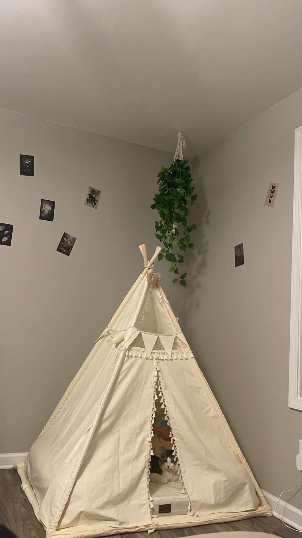 Teepee Tent for Kids Stripe Padded Mat Foldable Dark Tone Grey Play Tents for Girl and Boy with Carry Case Wooden Pole Printing Canvas Tepee Playhouse for Child Indoor Outdoor customer photo 2