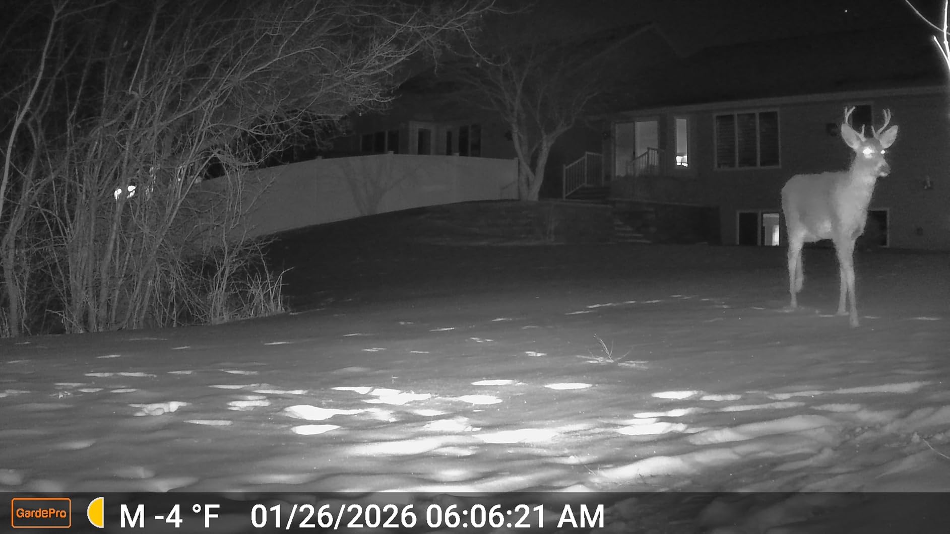 GardePro A3S Trail Camera (Non-Cellular, Non-WiFi), Enhanced Low-Light Performance, 64MP Photo & 1296P HD Video, 0.1s Trigger, 100ft No-Glow Night Vision customer photo 1