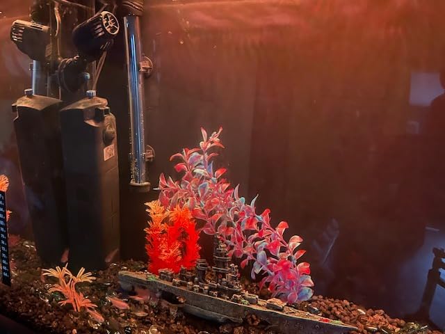 Orlushy Submersible Aquarium Heater, 500W Fish Tank Heater with Adjust Knob Thermostat customer photo 2