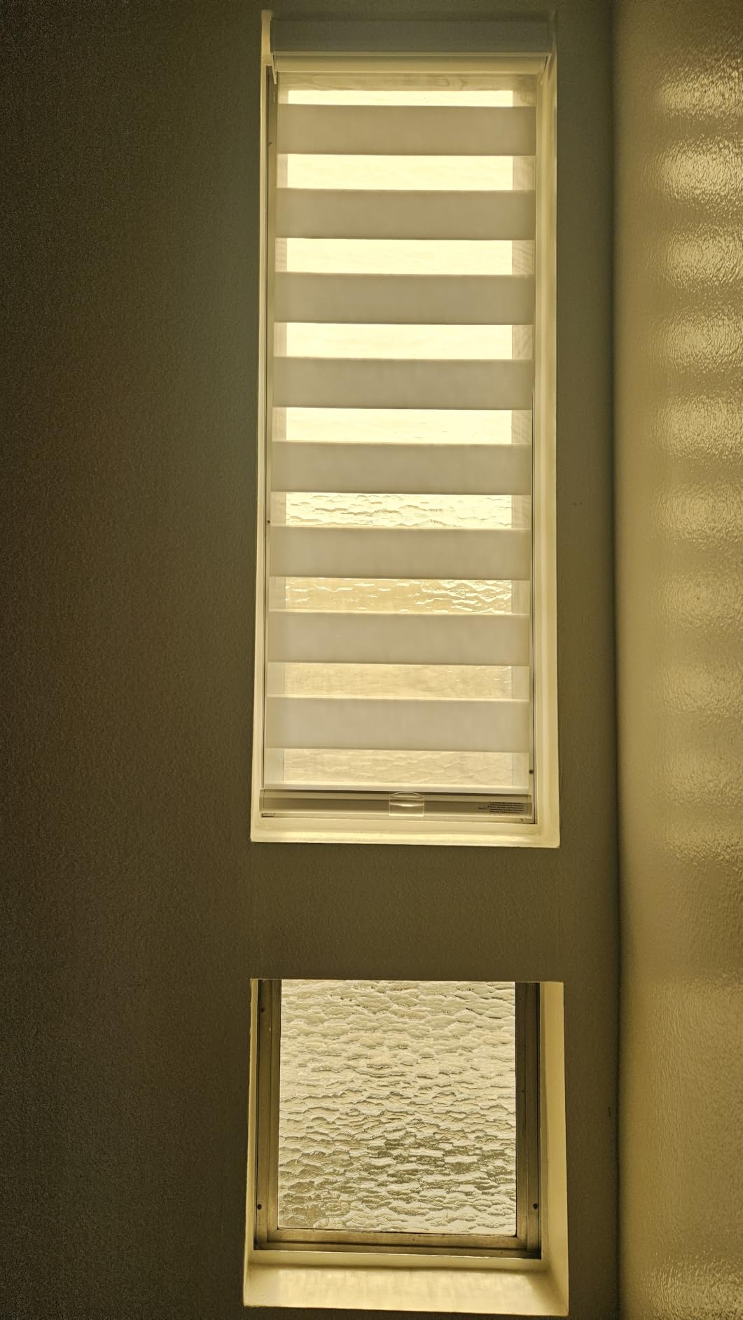 Persilux Cordless Zebra Blinds for Windows Free-Stop Roller Windows Shades (24