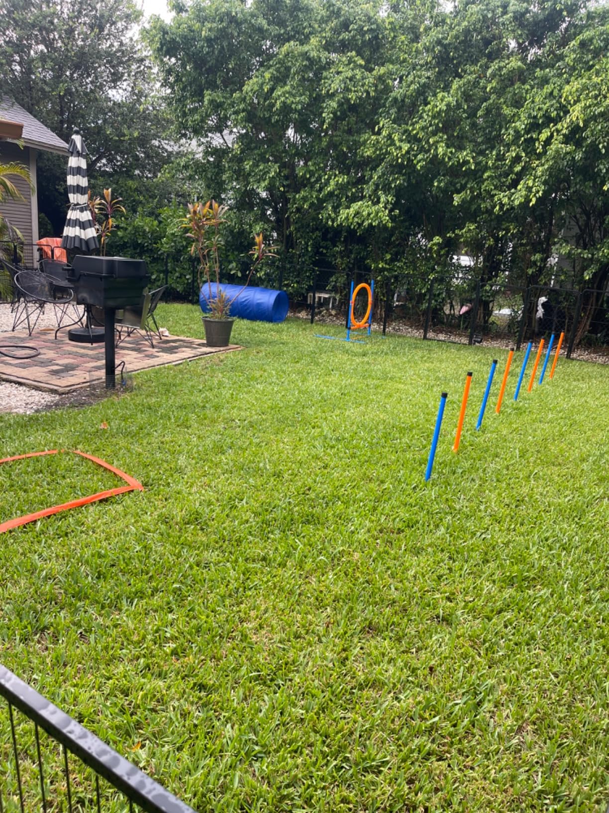 Dog Agility Training Equipment, 60-piece Dog Obstacle Course Training Starter Kit with Tunnel, Agility Hurdle, Weave Poles, Jump Ring, Pause Box customer photo 2