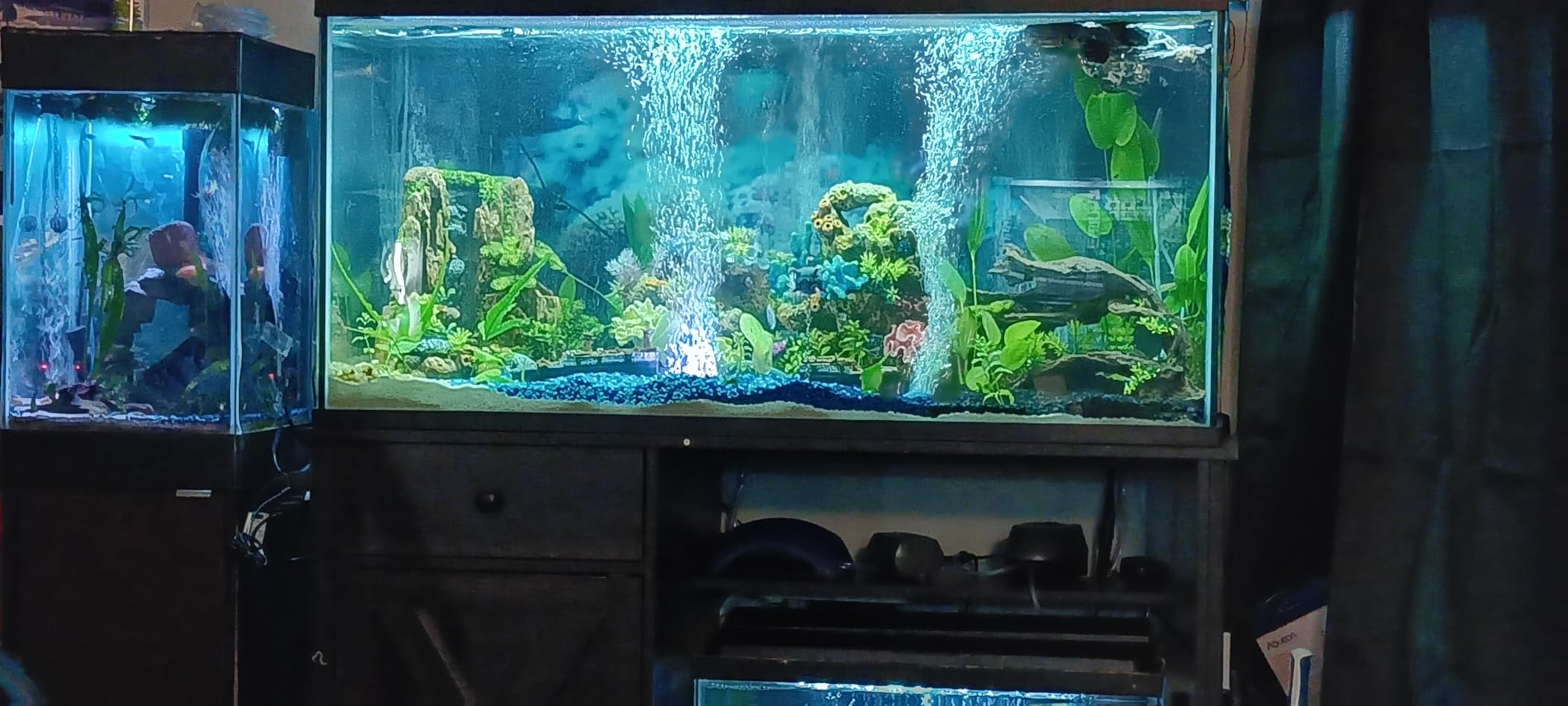 HiTauing Aquarium Heater, 50W/100W/200W/300W/500W Submersible Fish Tank Heater with Over-Temperature Protection and Automatic Power-Off When Leaving Water customer photo 1