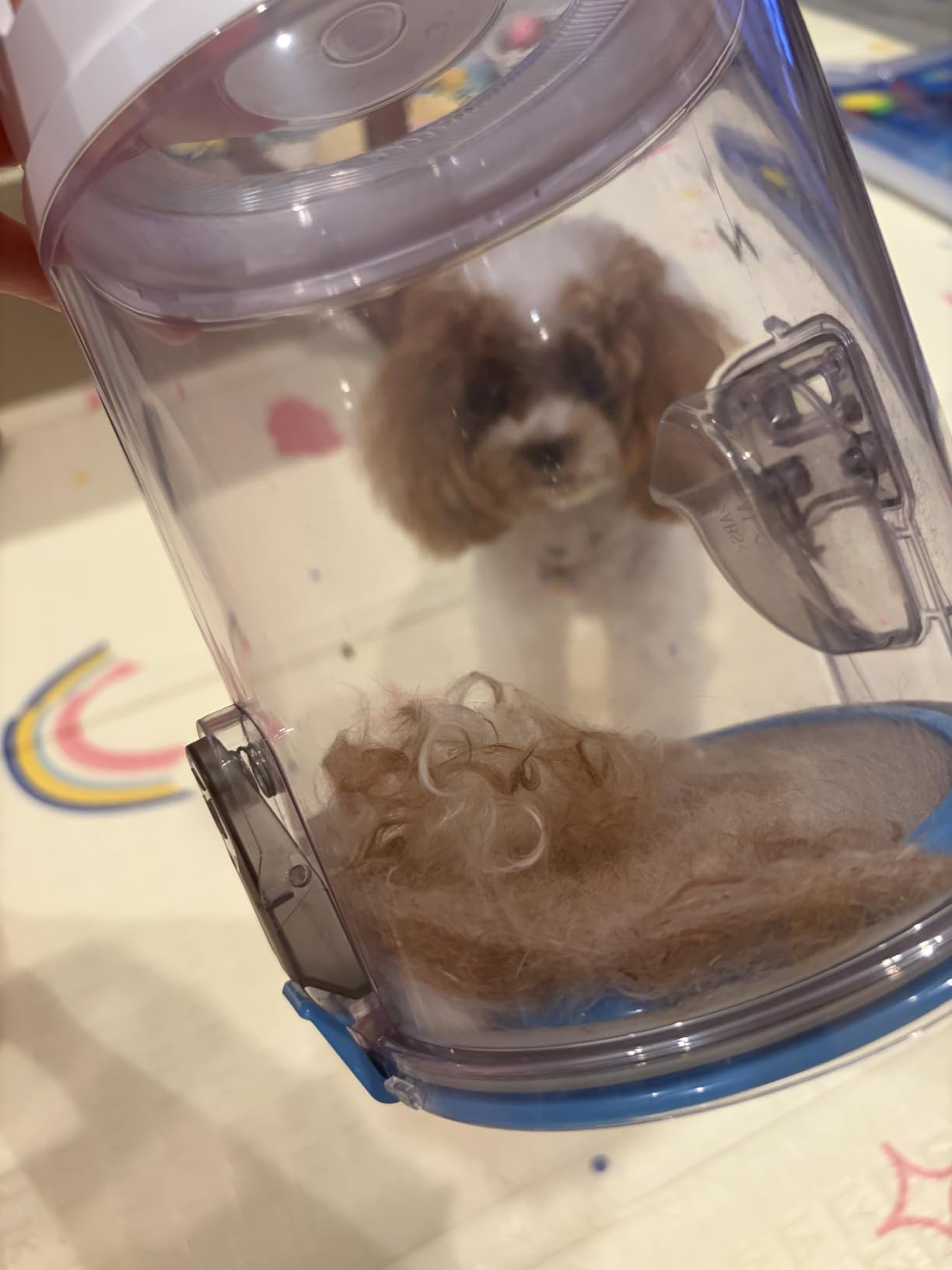P1 Pro Pet Grooming Vacuum Suction 99% Pet Hair, Dog Grooming Kit with 5 Professional Grooming Shedding Tools for Dogs Cats and Other Animals customer photo 1