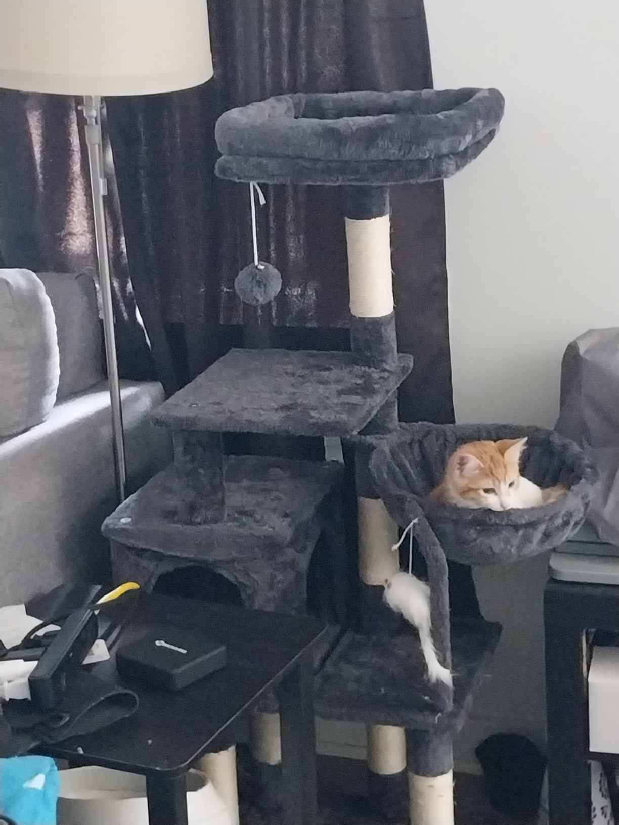 Heybly Cat Tree with Toy, 43.3 inch Cat Tower condo for Indoor Cats, Cat House with Padded Plush Perch, Cozy Hammock and Sisal Scratching Posts, Smoky Gray HCT004SG customer photo 1