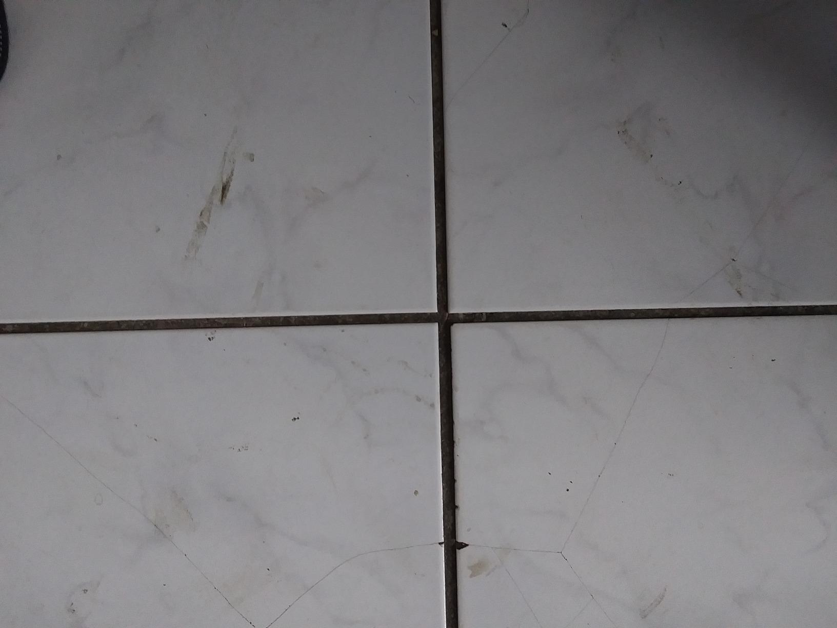 Simple Green Multi-Surface Floor Care - Cleans Hardwood, Vinyl, Laminate, Tile, Concrete and Other Wood - pH Neutral Floor Cleaner 1Gal customer photo 2
