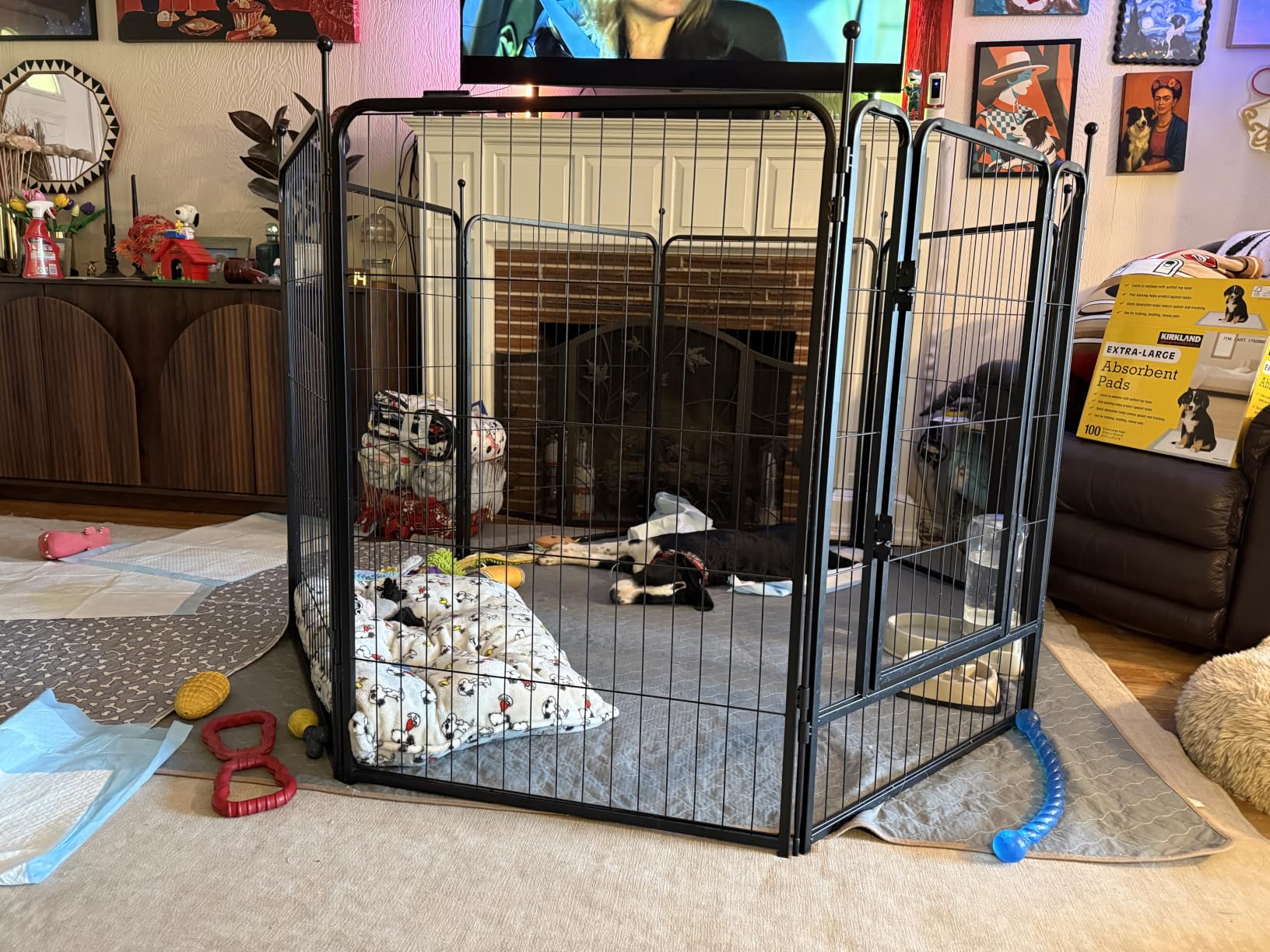FXW Rollick Unleashed Dog Playpen for Indoor, Yard, RV Camping, 40 inch 8 Panels for Medium and Large Dogs, Black | Patented customer photo 1