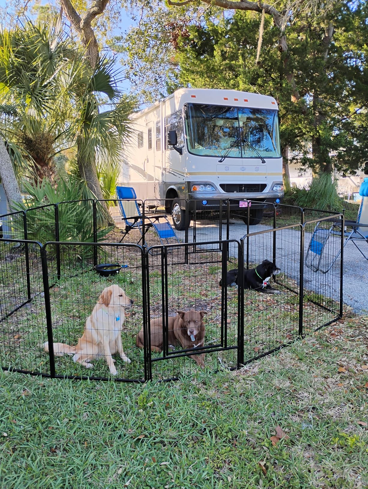 FXW Instant Dog Playpen, RV Camping, Outdoor & Yard, 40