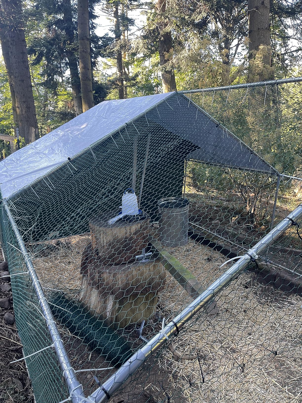 NUGRIART Large Metal Chicken Coop Walk-in Poultry Cage Hen Duck Run House with Waterproof & Anti-UV Cover Galvanized Rabbits Habitat Spire Shaped Cage for Outdoor Yard Farm Use customer photo 2