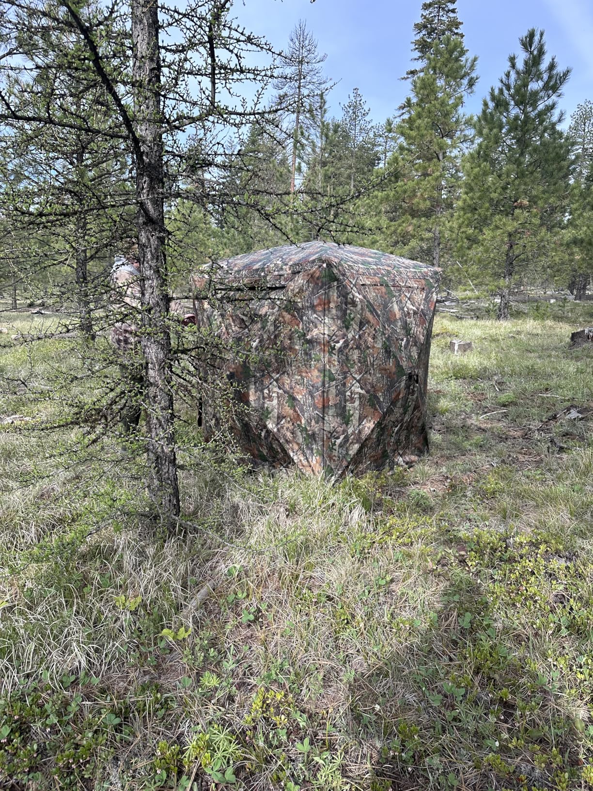 Hunting Blind, 2 Person Pop Up Blinds 360 Degree See Through, Portable Durable Hunting Ground Blinds for Deer & Turkey Hunting customer photo 1