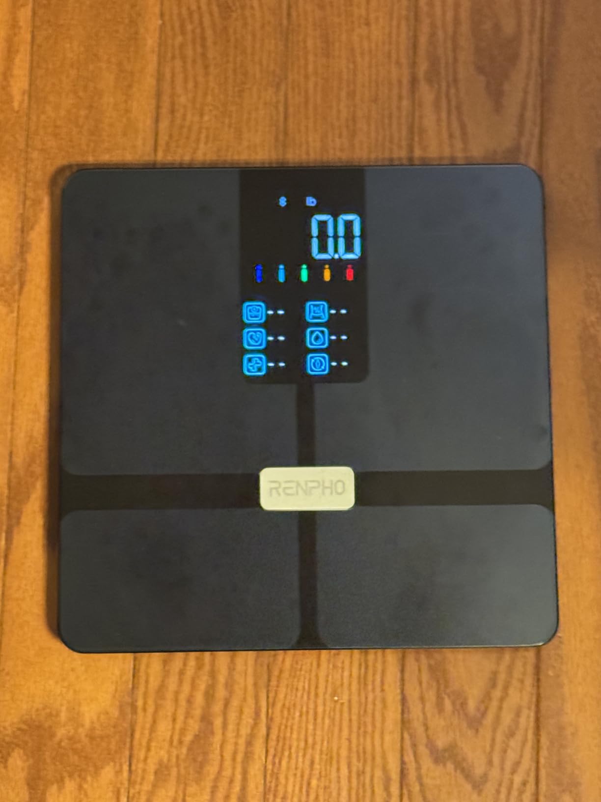 RENPHO Scale for Body Weight, Smart Scale with BMI, Body Fat, Muscle Mass, Bluetooth, 13 Metrics with Large Display, Support App Connection, Black, Elis 2X customer photo 1