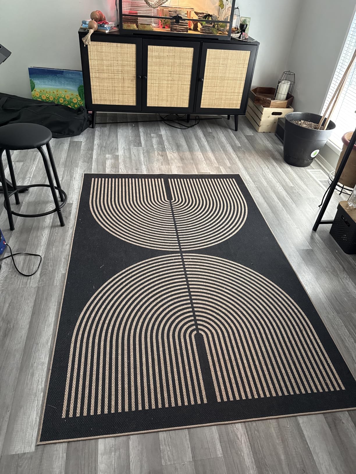 Lahome Modern Rainbow Easy Jute Carpet, Washable 5x7 Area Rugs for Living Room Patio Black Farmhouse Indoor Outdoor Rugs, Contemporary Natural Non Slip Floor Carpet for Office RV Backyard customer photo 2