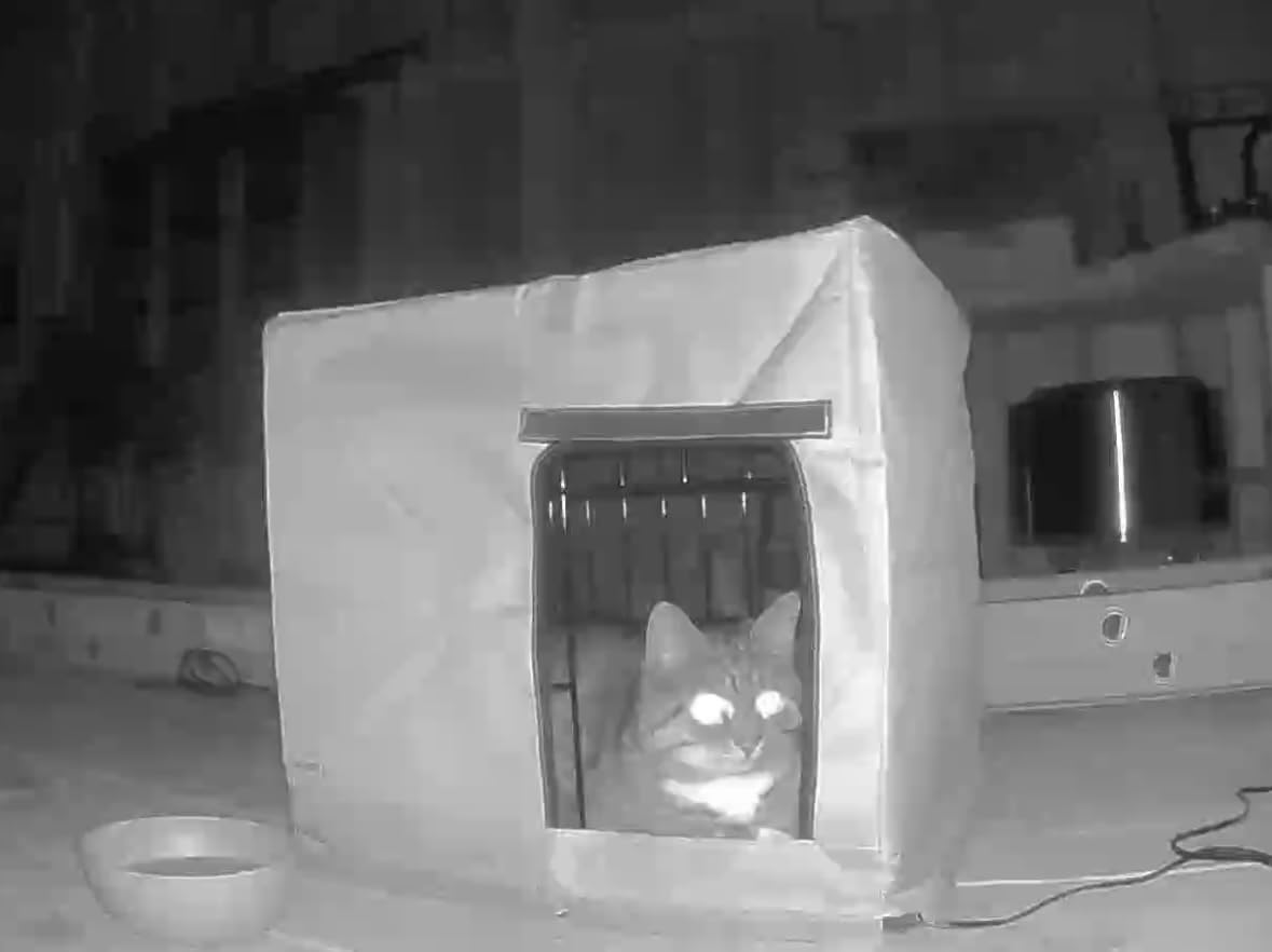 GASUR Large Heated Cat House for Outside Winter, 100% Waterproof Outdoor Cat House w/Cat Heating Pad, Insulated Cats Houses Outdoor w/Highly Elevated Base, Warm Cat Shelter for Outside Stray Barn customer photo 1