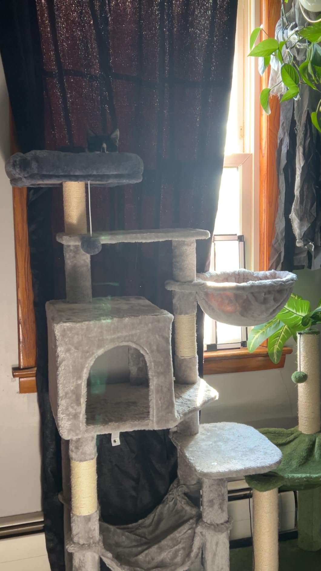 Hey-brother Cat Tree, 60.6 Inches Multi-Level Sisal Covered Scratching Posts Tower with Condo, Large Hammock, Top Perch, Toy Ball for Multi-Cat Households customer photo 1