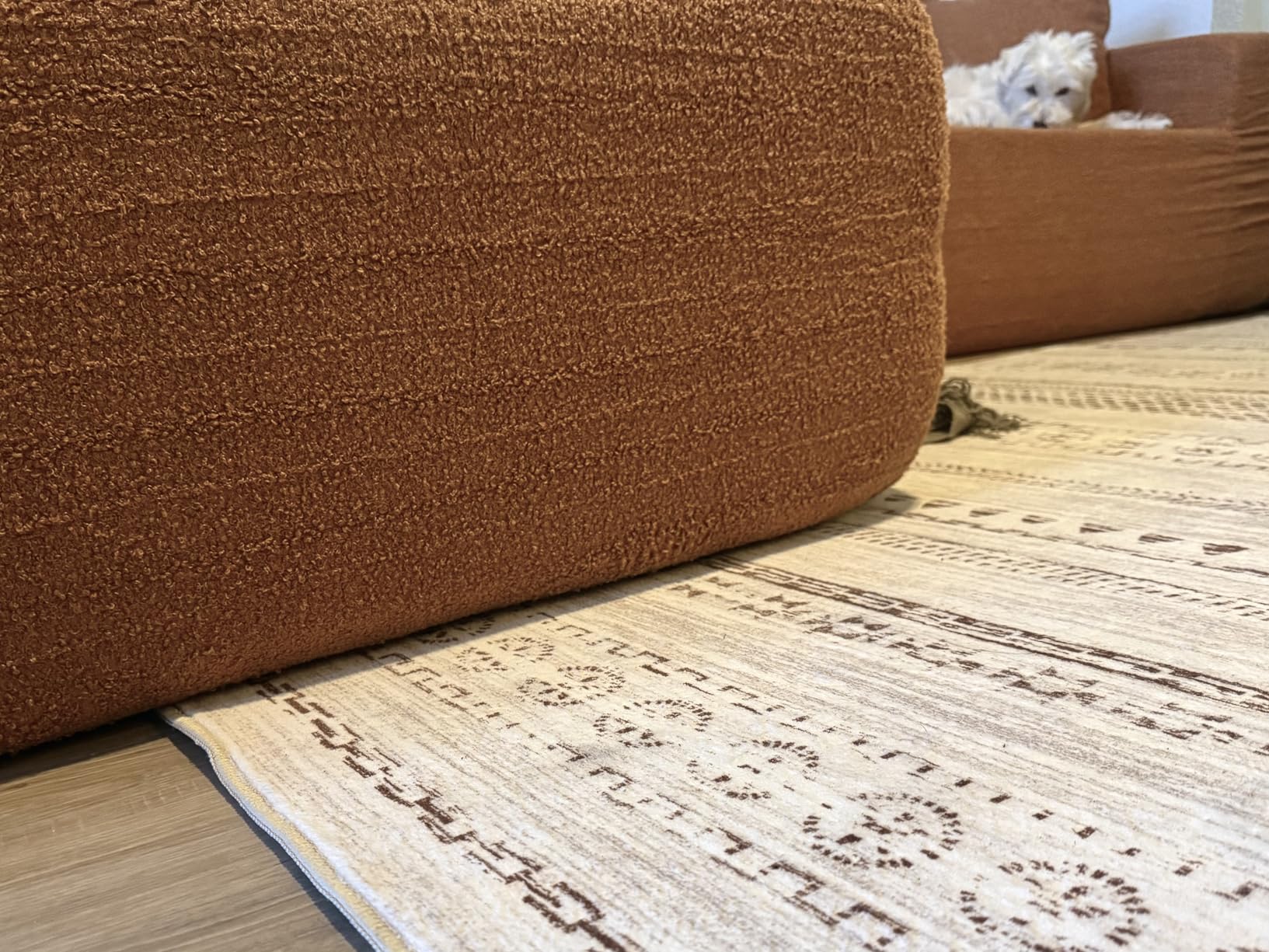 kakania 5x7 Washable Area Rug: Non Slip Soft Thin Carpet, Boho Geometric Modern Decor, Easy Clean Indoor Floor Rugs for Living Room Bedroom Kids Dorm Office Dining - Brown customer photo 1