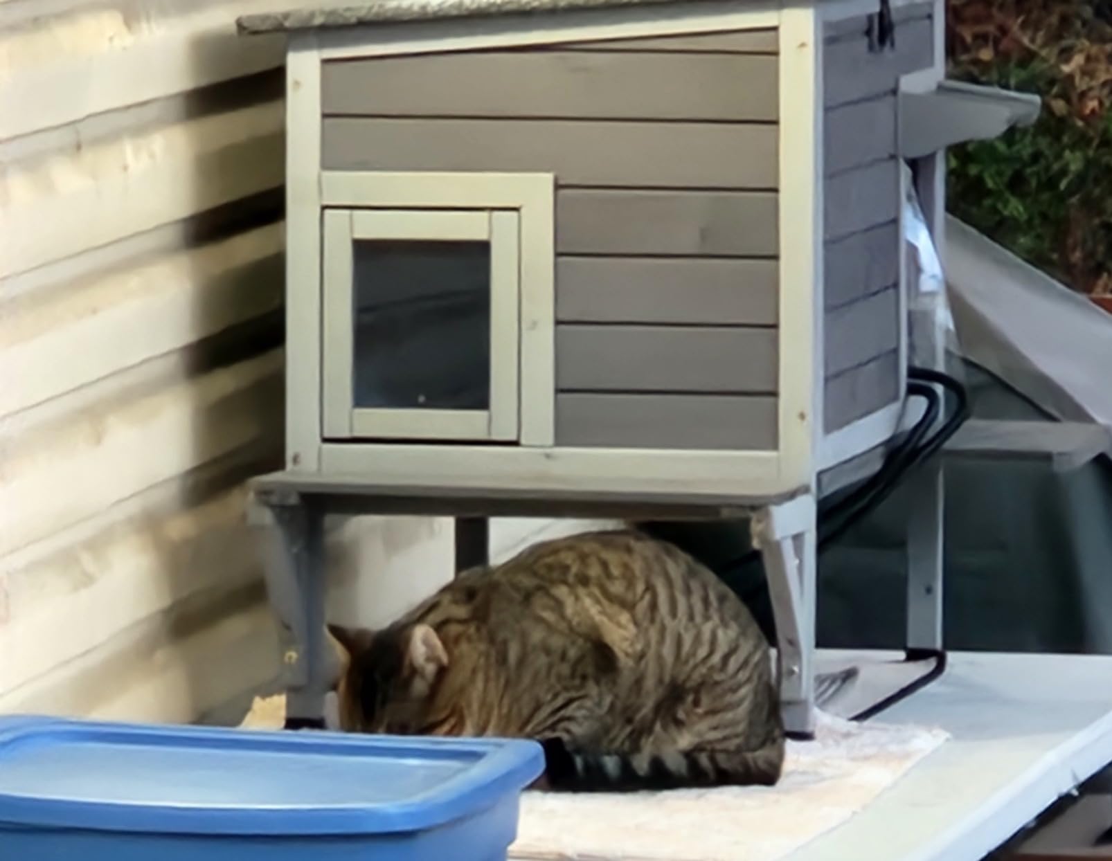 Aivituvin Heated Outdoor Cat House with Heating Pad, Insulated Liner | 33.5